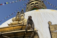 IMG_6827 IMG_6827
