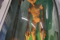 20230707_115128