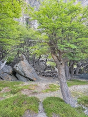 20220129-20220129_082554